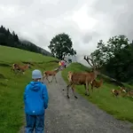 Appartementhaus Bad Salve *